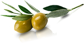 olive-img